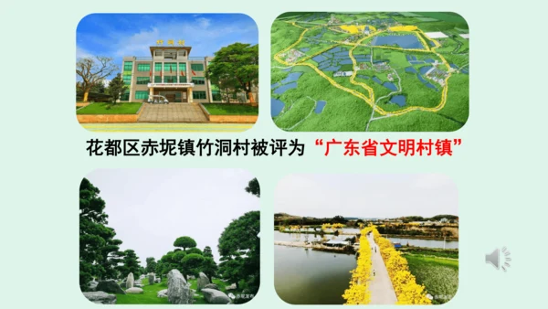 10.《我们所了解的环境污染》（第二课时）  课件