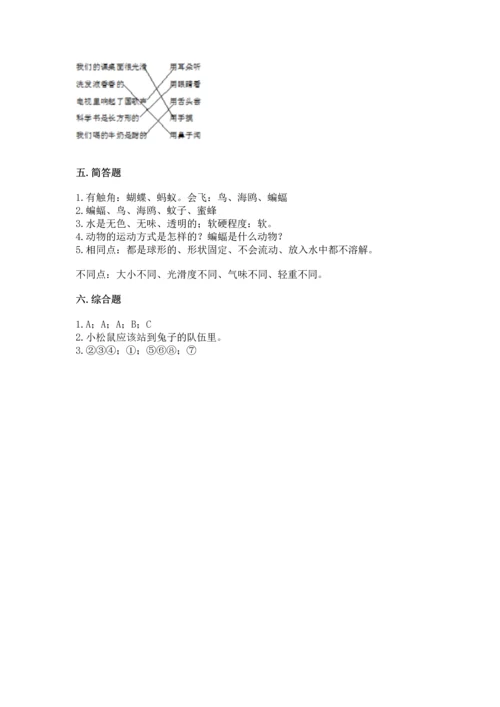 教科版一年级下册科学期末测试卷含完整答案【全优】.docx