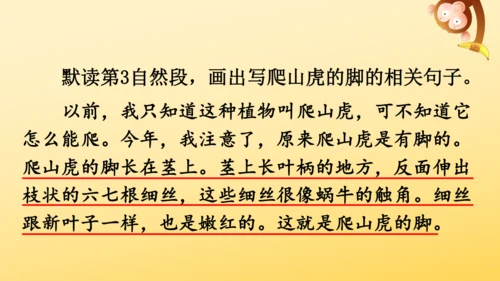 10 爬山虎的脚   课件