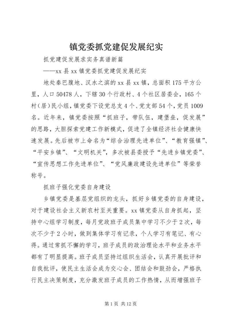 镇党委抓党建促发展纪实.docx