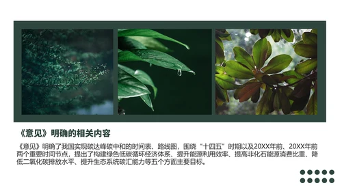 低碳经济碳达峰碳中和新理念PPT党课