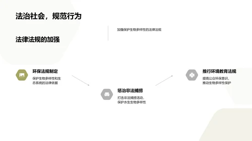 生物多样性的守卫者