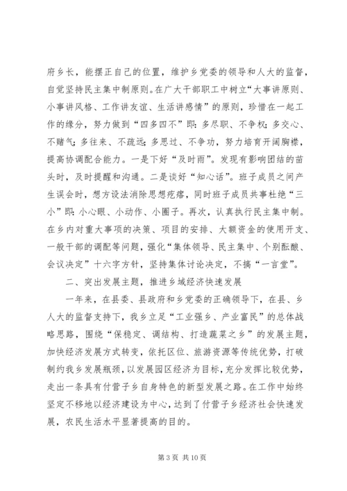 乡长述职述廉报告范文.docx