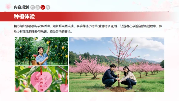 小镇桃花节策划方案通用PPT