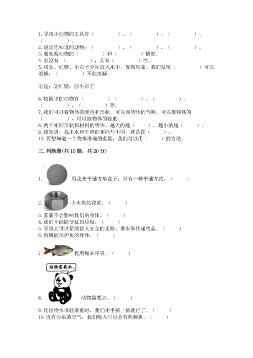 教科版一年级下册科学期末测试卷附参考答案（预热题）.docx