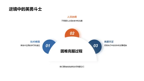 202X年度总结与展望