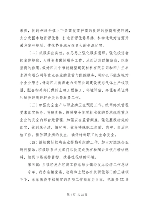 乡镇经发办工作总结及工作计划.docx