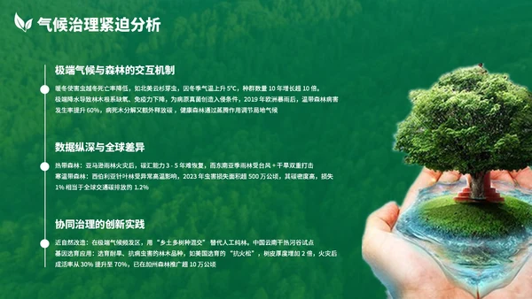 绿色清新森林生态环境保护调研汇报PPT模板