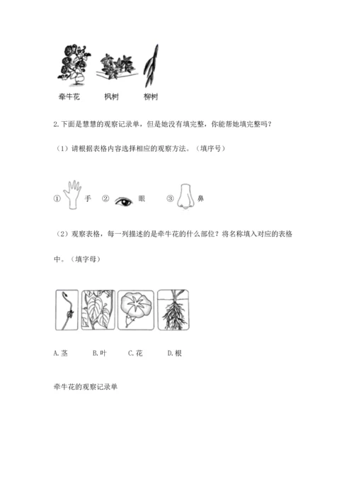 教科版小学一年级上册科学期末测试卷及参考答案【轻巧夺冠】.docx