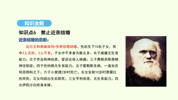 7.2.3基因的显性和隐性课件-人教版生物八年级下册(共31张PPT)