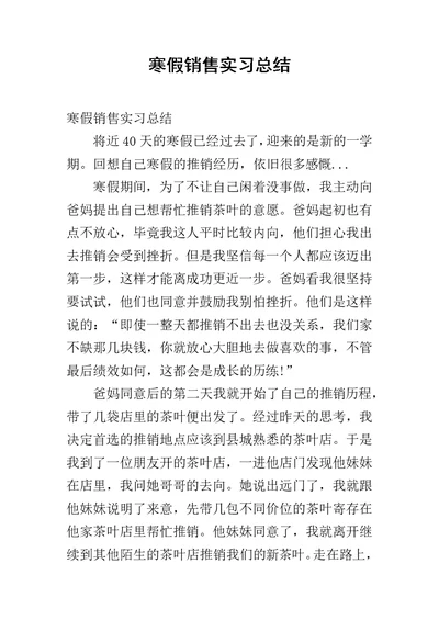 寒假销售实习总结