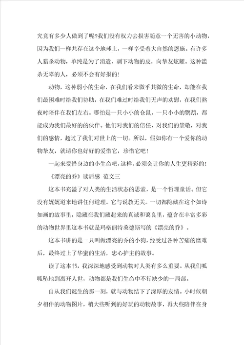 美丽的乔读后感美丽的乔读后感范文600字