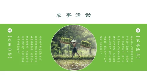 春分春天的白花通用PPT模板