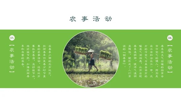 春分春天的白花通用PPT模板