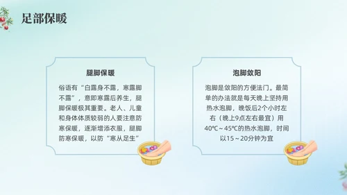 彩色弥撒寒露养生二十四节气PPT课件