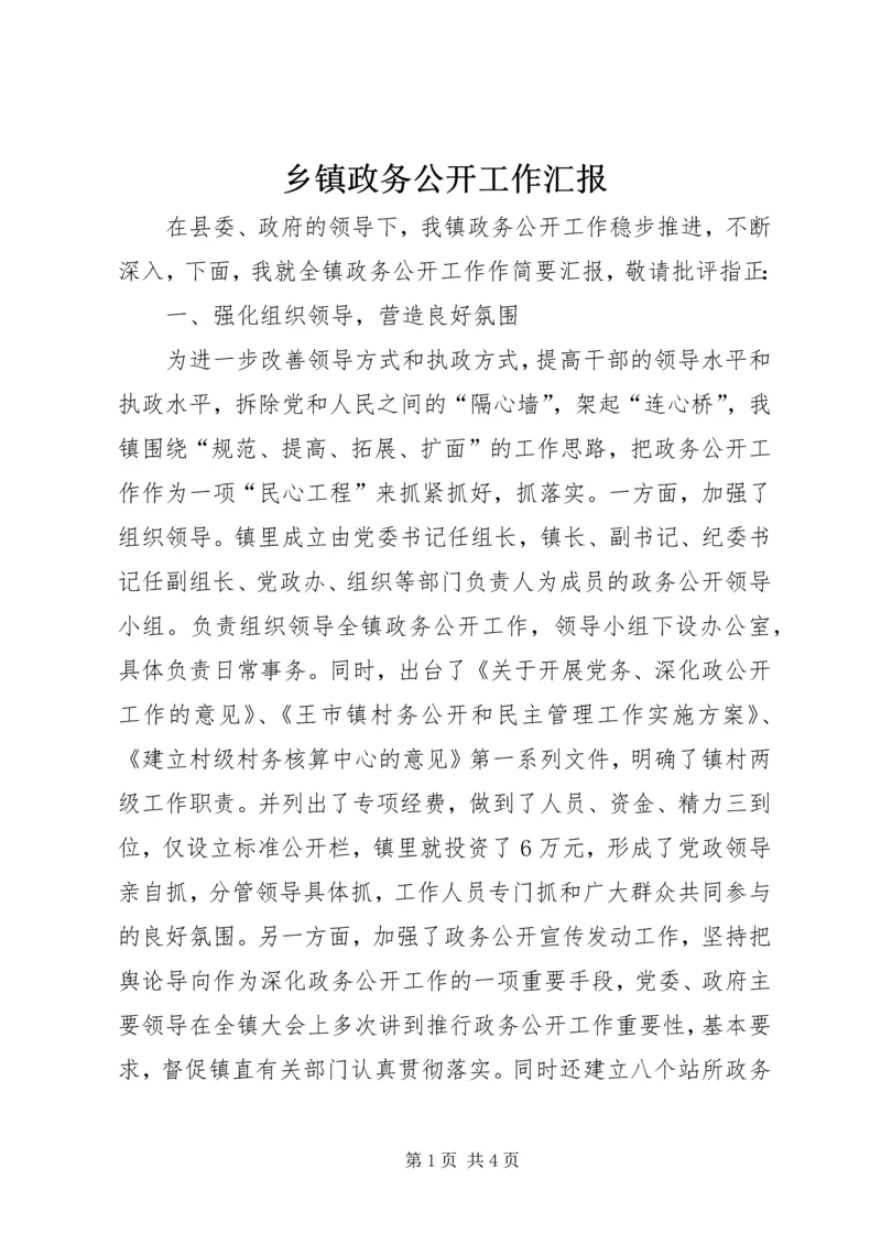 乡镇政务公开工作汇报.docx