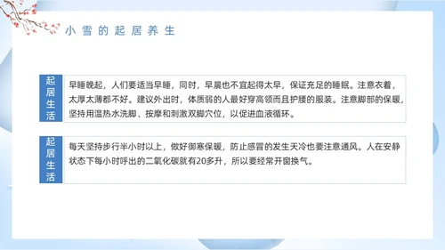 蓝色卡通风小雪节气介绍PPT模板