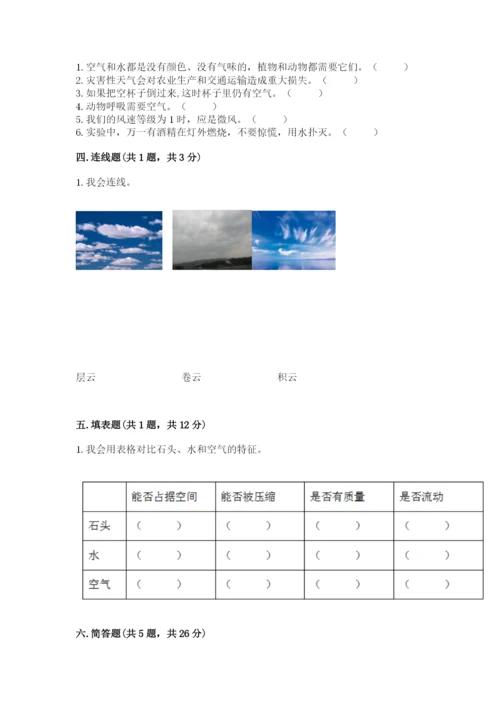 教科版小学三年级上册科学期末测试卷（考点精练）.docx