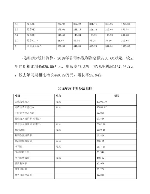 新建缆车项目年度总结报告