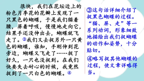 -统编版2024-2025学年四年级语文上册同步精品习作：生活万花筒 课件