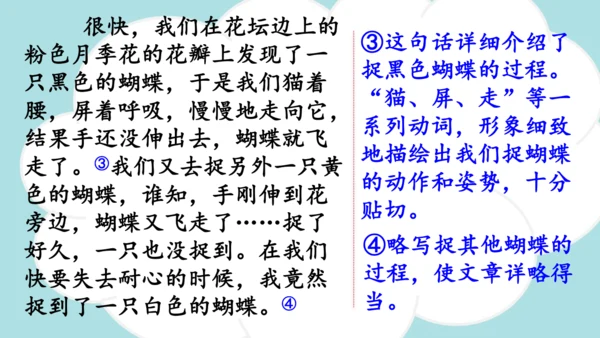 -统编版2024-2025学年四年级语文上册同步精品习作：生活万花筒 课件