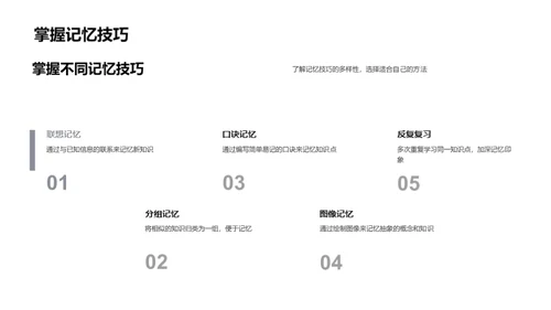 高效学习策略探究