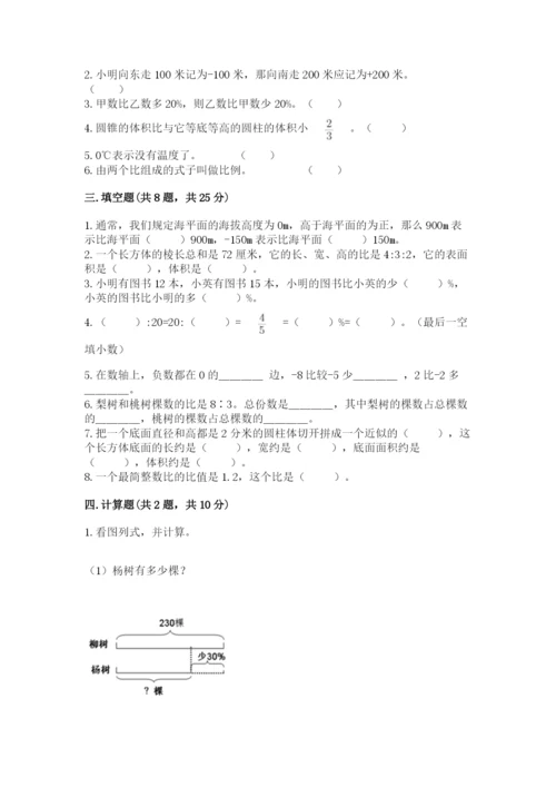 沧州市吴桥县六年级下册数学期末测试卷有精品答案.docx