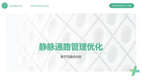 静脉护理诊断与治疗案例展示PPT