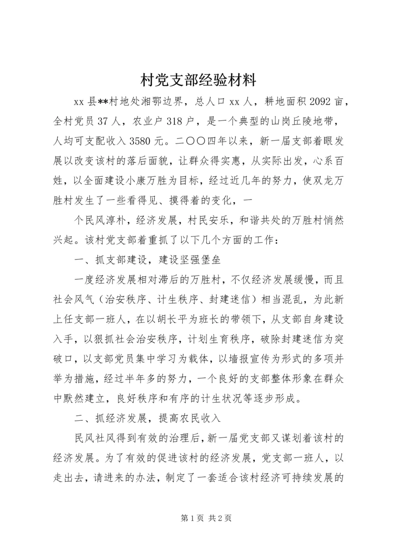 村党支部经验材料 (4).docx