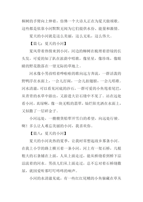 夏天的小河作文.docx