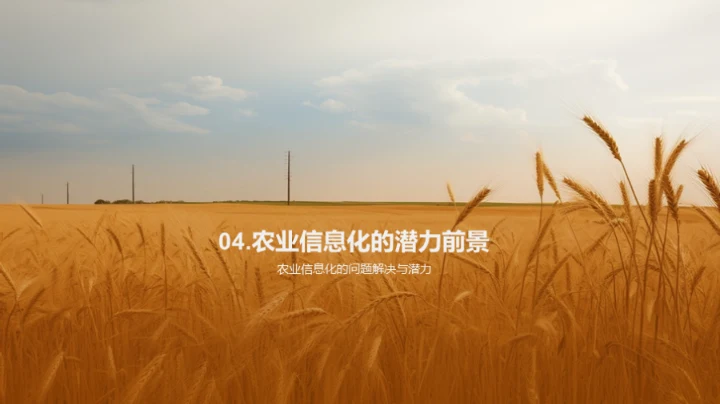 农业信息化的探索