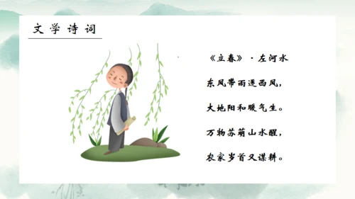 春风杨柳立春柳枝柳树通用PPT模板