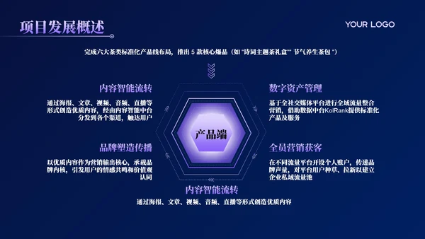 活力紫科技风商业计划书PPT模板