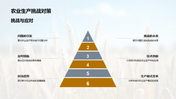 农业科技创新之路