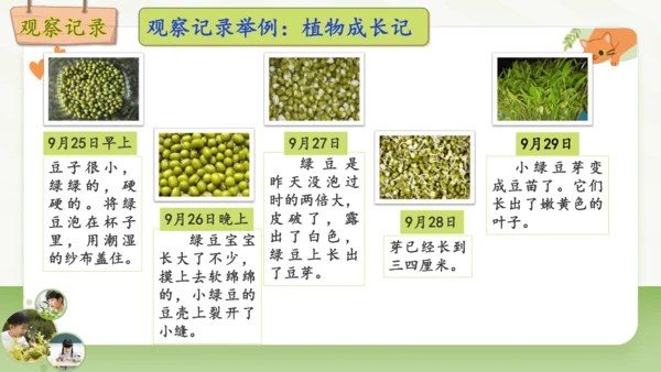 统编版2024-2025学年语文四年级上册第三单元习作 观察日记-（教学课件）