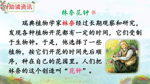 13《花钟》（课件）