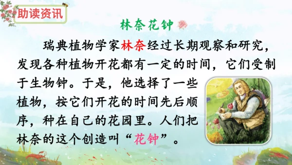 13《花钟》（课件）