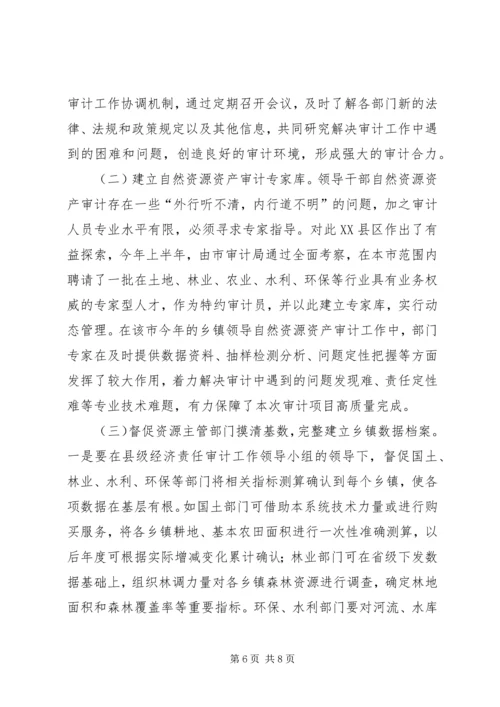 乡镇领导干部自然资源资产审计存在的问题及措施建议.docx