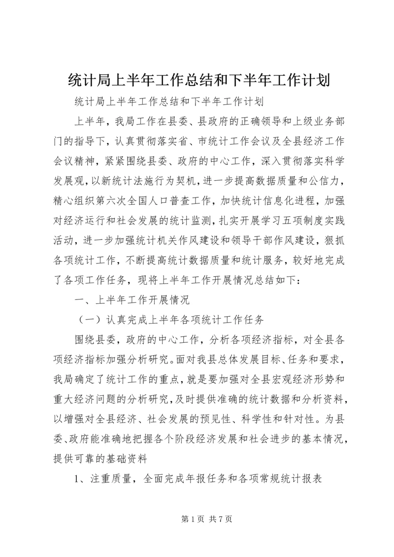 统计局上半年工作总结和下半年工作计划_1 (2).docx