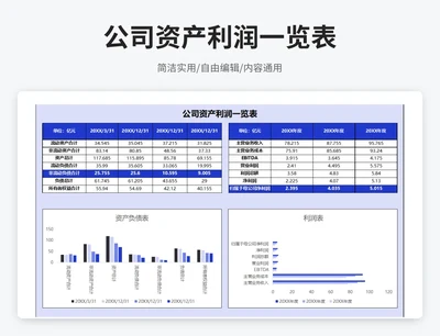 简约风公司资产利润一览表