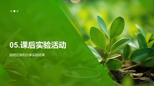 科学观察：植物生长之旅