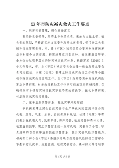 XX年市防灾减灾救灾工作要点.docx