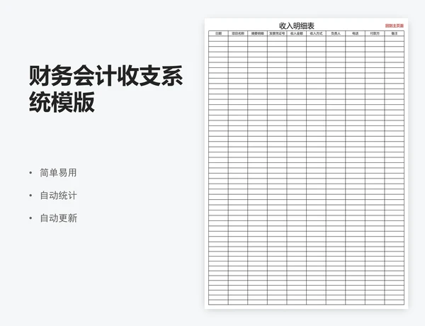 财务会计收支系统模版