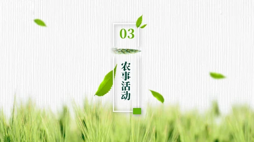 小满——禾苗青苗稻谷嫩芽通用PPT模板