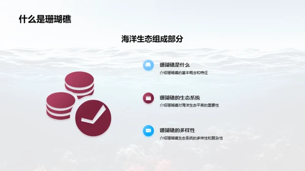 珊瑚礁：海洋的生命之源