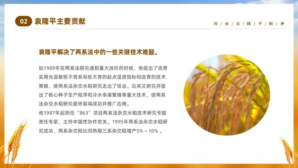 黄色实拍稻穗522纪念杂交水稻之父袁隆平主题班会PPT纪念袁隆平