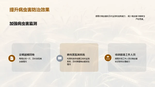 小满季节粮食科学管理