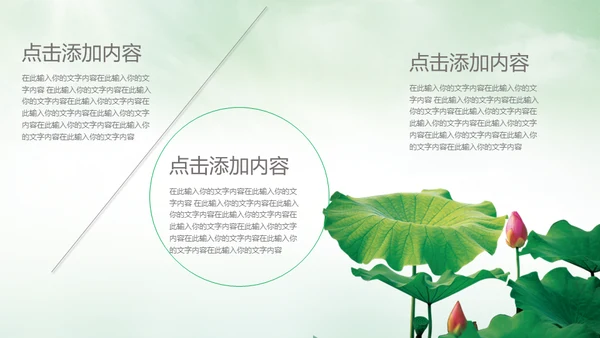 中国风荷塘风景荷叶荷花青莲通用PPT模板