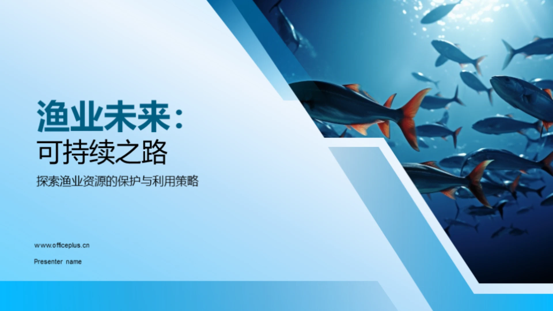 渔业未来:可持续之路