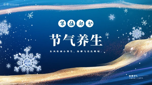 蓝色鎏金风中国二十四传统节气之小寒介绍PPT
